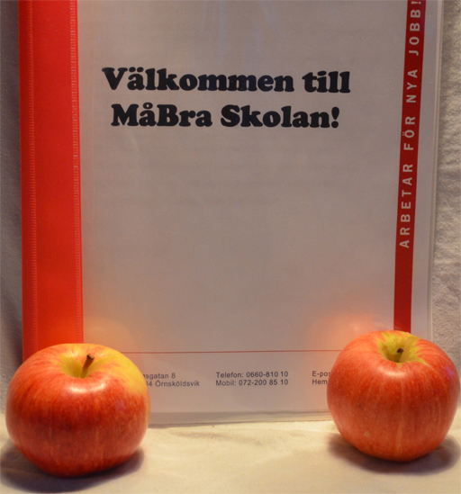 IVK startar MåBra Skola! Foto © Anders Byström http://suzanders.se